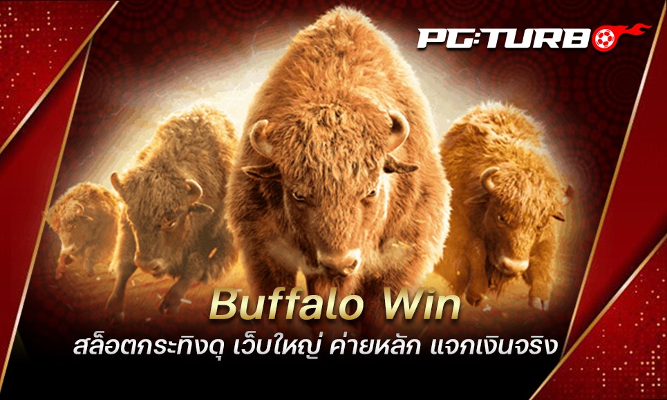 Buffalo Win สล็อตกระทิงดุ เว็บใหญ่ ค่ายหลัก แจกเงินจริง