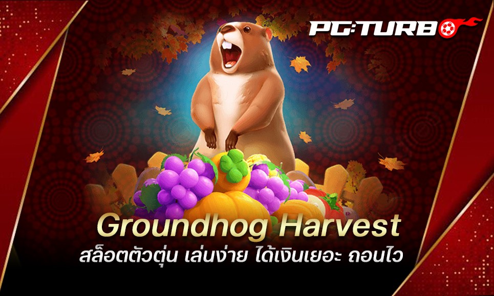 Groundhog Harvest สล็อตตัวตุ่น เล่นง่าย ได้เงินเยอะ ถอนไว