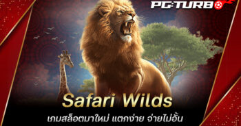 Safari Wilds เกมสล็อตมาใหม่ แตกง่าย จ่ายไม่อั้น