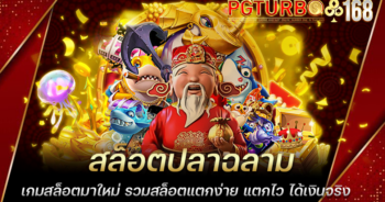 สล็อตปลาฉลาม เกมสล็อตมาใหม่ รวมสล็อตแตกง่าย แตกไว ได้เงินจริง